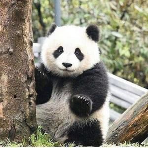 Meet your Posher, Zhen